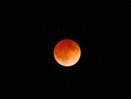Лунное затмение 15 апреля 2014 г. Фото: Stephen Pompea/NOAO