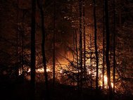Лесной пожар в Сибири