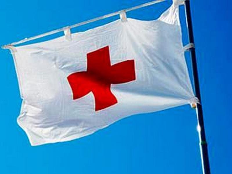Эстонский Красный Крест потребовал убрать свою символику из сказки про Айболита