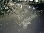 Разлив нефти в Мексиканском заливе в 2010 г.