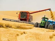 Сбор урожая зерновых