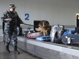 Проверка багажа в аэропорту Ростова-на-Дону
