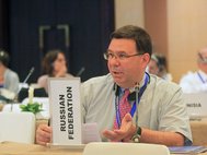 Заместитель постпреда РФ при ООН Александр Панкин