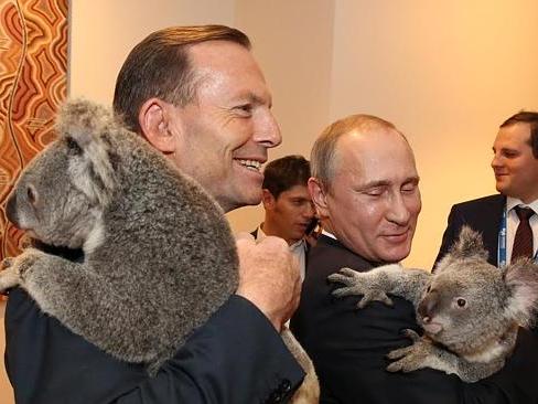 Владимир Путин позирует с коалой