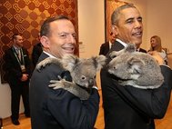 Барак Обама позирует с коалой