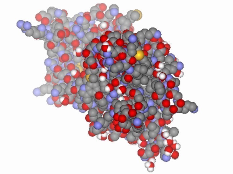 Молекулярная структура BDNF