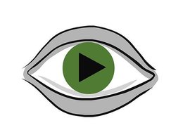 Видео дня