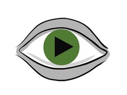 Видео дня