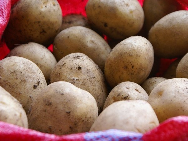 Картофель