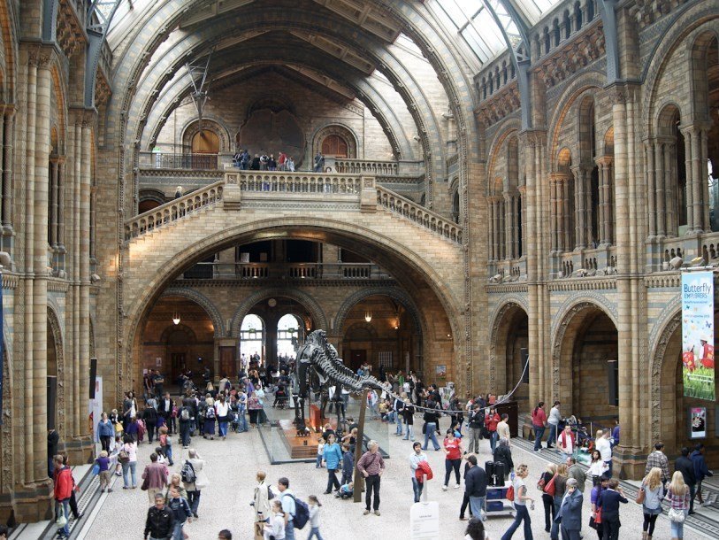 Лондонский музей естественной истории