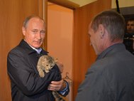 Владимир Путин с кошкой Муркой