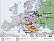 Балтийские и славянские популяции