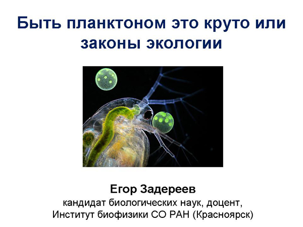 Быть планктоном это круто или законы экологии» – аналитический портал  ПОЛИТ.РУ