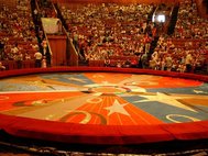 Арена цирка на Проспекте Вернадского