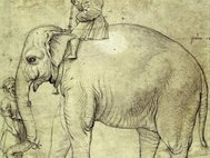 Подаренный римскому папе Льву X слон Ганнон
