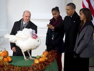 Барак Обама помиловал индейку в День благодарения