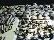 Кости I века до н. э., найденные в Нидерландах