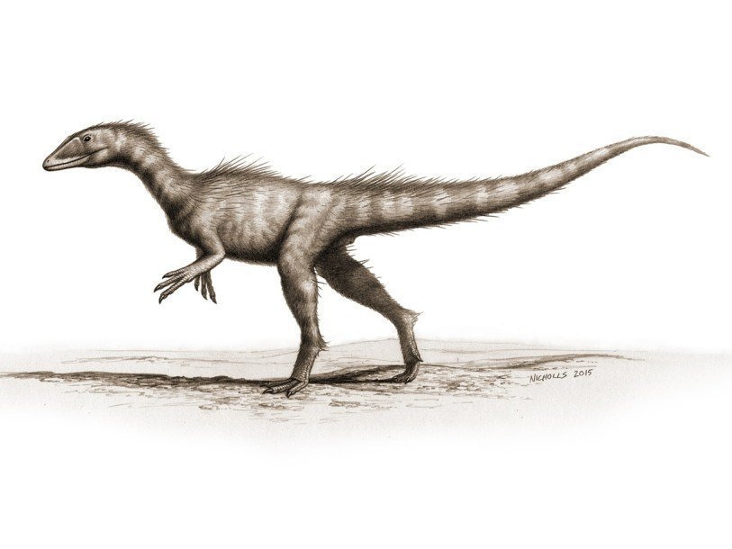 Dracoraptor hanigani