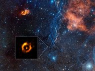 Пылевое кольцо вокруг проэволюционировавшей двойной звезды IRAS 08544-4431