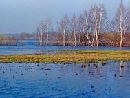 Весенний подъем уровня воды.