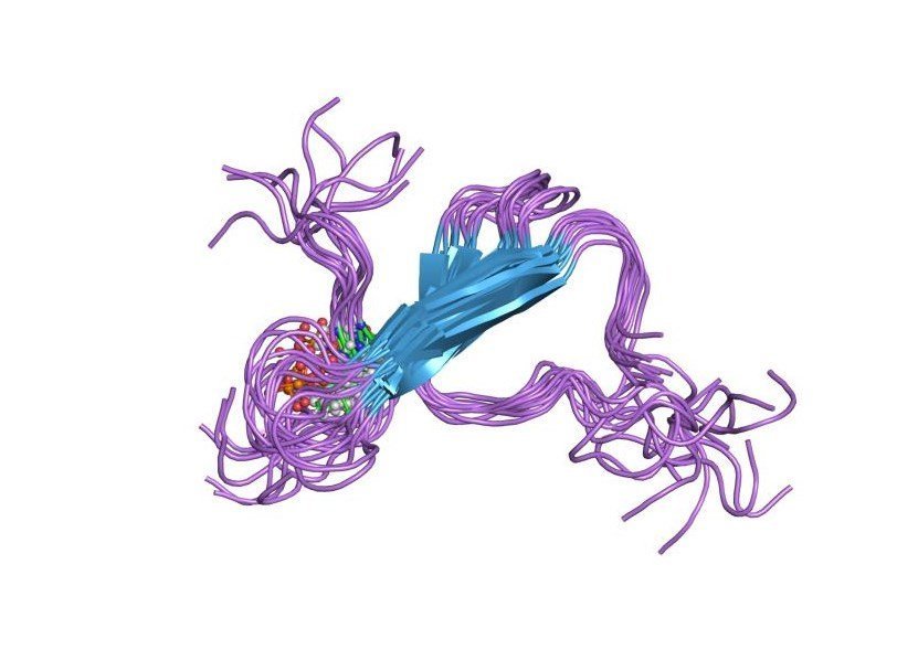 Модель молекулярной структуры тау-белка