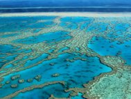 Участок Большого барьерного рифа у побережья Австралии