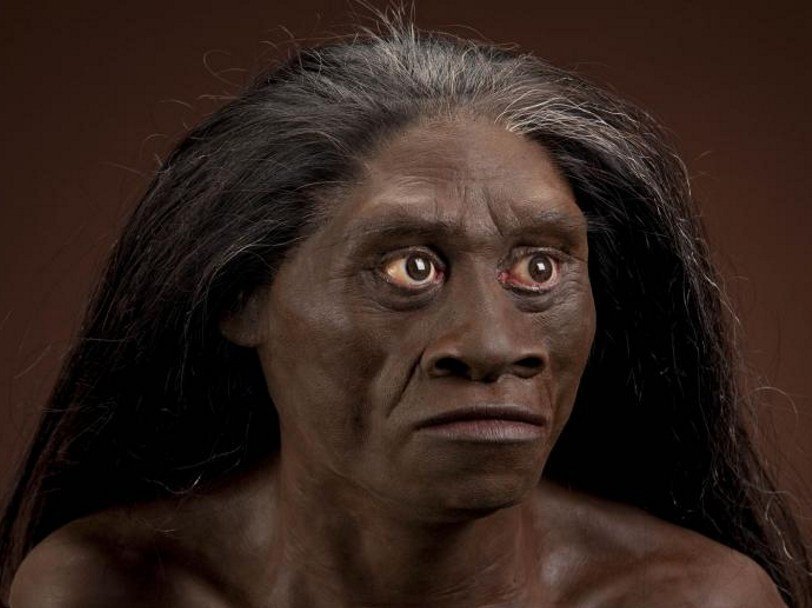 Реконструкция Homo floresiensis