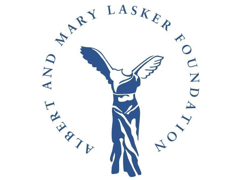 Логопит фонда Альберта и Мэри Ласкер