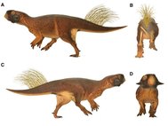 Реконструкция окраски пситтакозавра