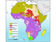 Карта языковых семей Африки