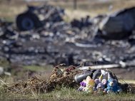 Игрушки на месте крушения Boeing под Донецком