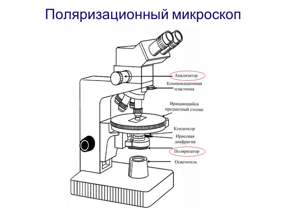 Какая технология изготовления дисплеев использует жидкие кристаллы