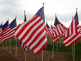 Флаги США на выборах