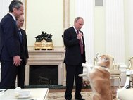 Владимир Путин со своей собакой Юмэ