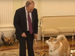 Владимир Путин и его собака Юмэ