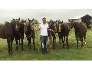 Adolfo Cambiaso с клонированными лошадьми