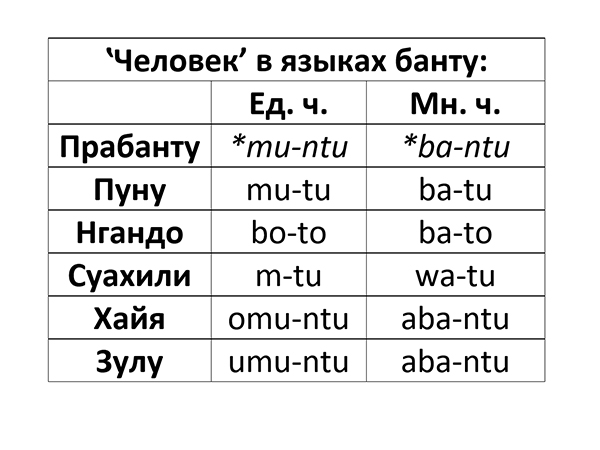 Доклад по теме Бушменские языки