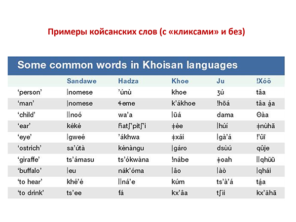 Доклад: Койсанские языки