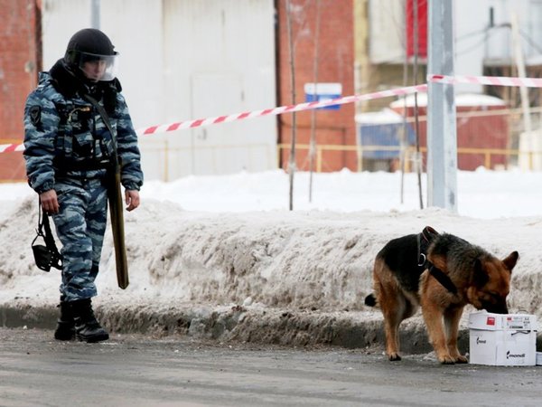 Показательные занятия бойцов специальных подразделений ОМОН и СОБР Росгвардии