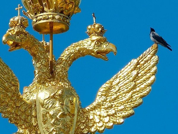 Российский герб и ворона.