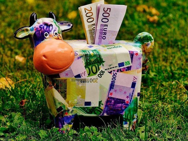 Купюры евро и копилка в виде коровы