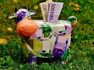 Купюры евро и копилка в виде коровы