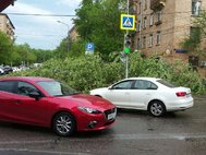 Последствия урагана в Москве 29 мая