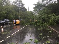 Ураган в Москве
