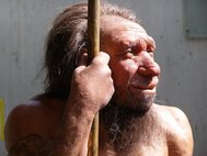 Реконструкция из Неандертальского музея в Германии