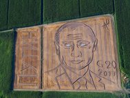 Портрет Владимира Путина на поле в Италии