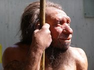 Реконструкция в Неандертальском музее в Германии