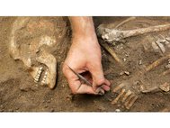 Ученым удалось извлечь ДНК из останков пяти жителей древнего города Сидон