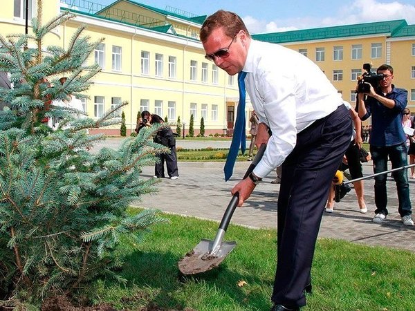 Дмитрий Анатольевич Медведев производит посадку деревьев