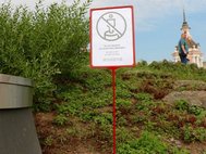 Газон в парке «Зарядье»